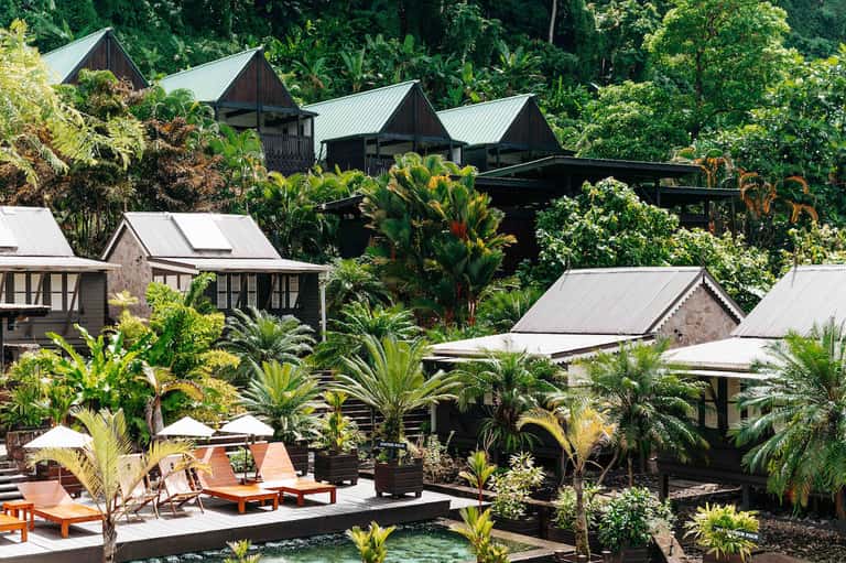 Luxury jungle resort with dark wooden villas, metal roofs, tropical plants, and lounging areas