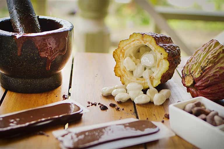 Close-up of cacao pods cut open displaying white cacao beans with mortar and pestle