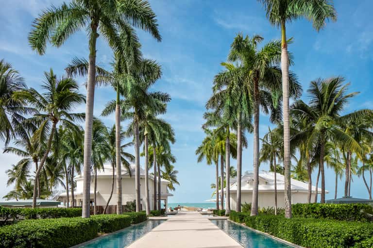 Palm-lined pathway with reflection pool leading to modern white resort building by ocean