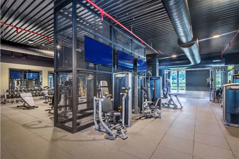 Modern fitness center with cardio equipment and weight machines on spacious floor