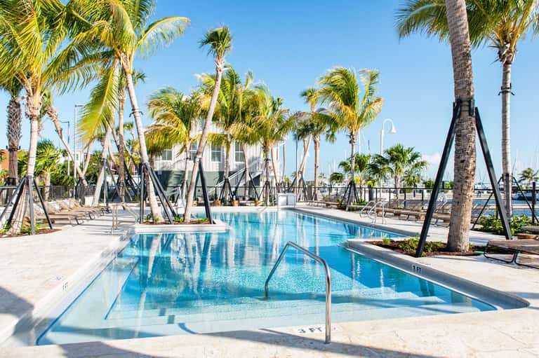 Resort pool surrounded by palm trees with marina and sailboats visible in the background