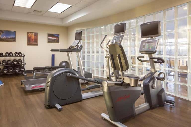 Modern fitness center with cardio equipment, dumbbells, and large windows overlooking city