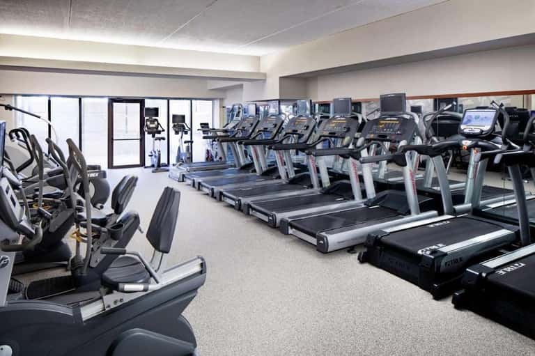 Modern fitness center with rows of treadmills, exercise bikes, and cardio equipment