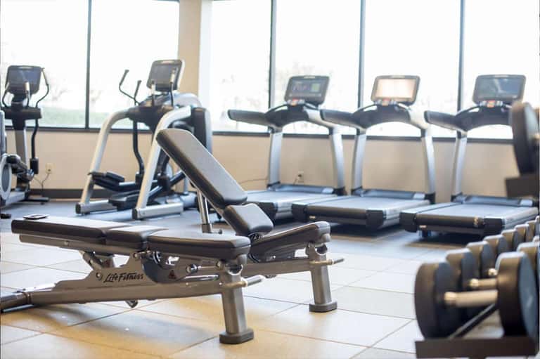 Modern fitness center with cardio machines, treadmills, weights, and large windows