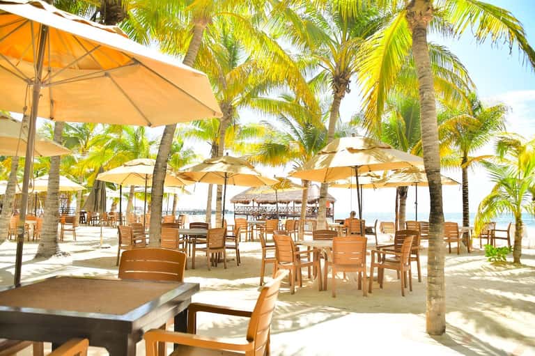 Beachfront dining area with tan umbrellas and palm trees