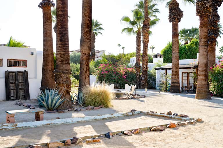 Desert landscape with tall palm trees, white buildings, pink flowers, and sandy grounds