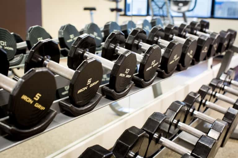 Row of black dumbbells with gold accents in modern fitness facility