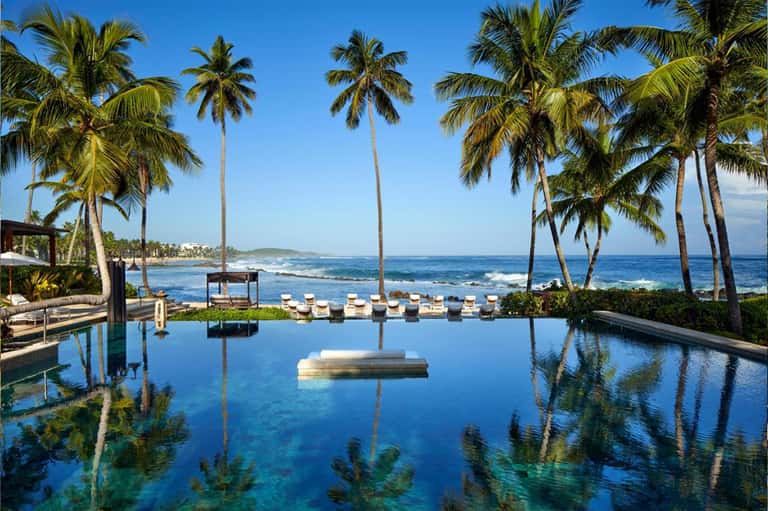 Luxury beachfront infinity pool with palm trees, ocean view, and white lounge chairs