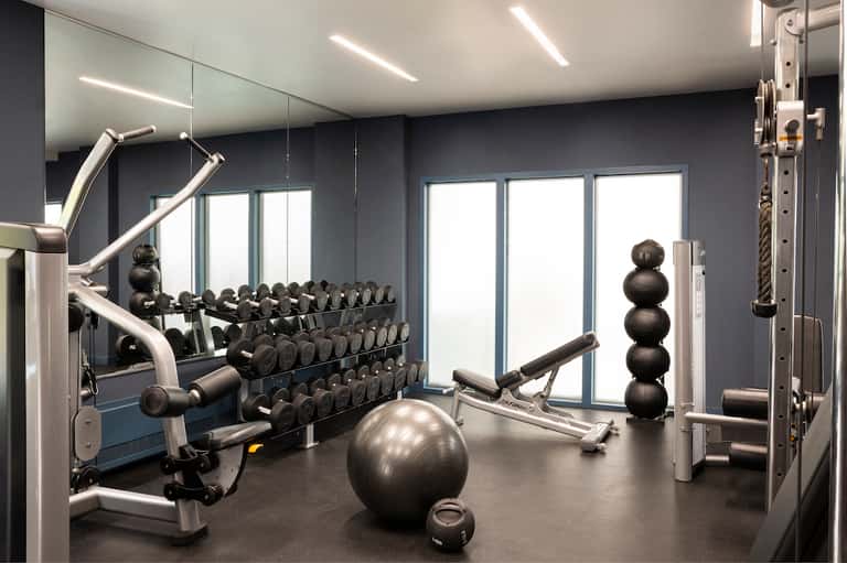 Contemporary gym with dumbbell racks, exercise equipment, medicine balls, and floor-to-ceiling windows