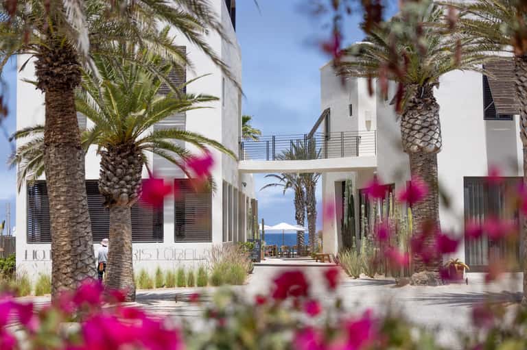 Mediterranean-style courtyard with white architecture, palm trees, magenta flowers, and ocean views