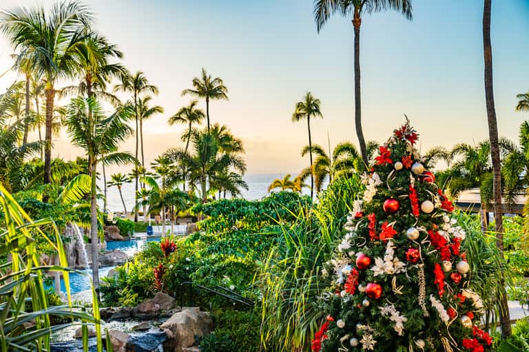 Beachfront resort grounds with decorated Christmas tree, palm trees, and ocean view