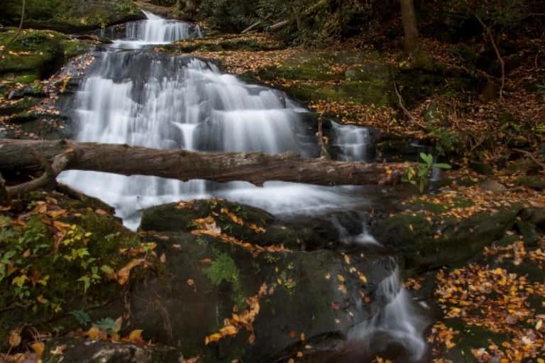 Cascading waterfall flowing over moss-covered rocks in a forested natural setting