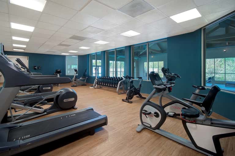 Fitness center with treadmills, exercise bikes, dumbbells, teal walls, and large windows