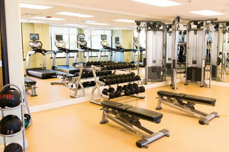 Modern gym with treadmills, dumbbells, weight machines, mirrors, and bright yellow flooring with windows