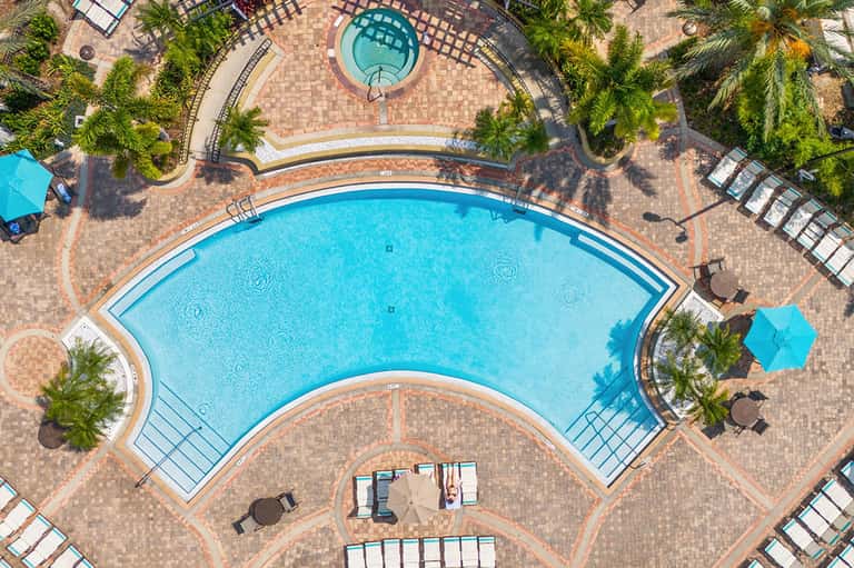 Aerial view of curved resort swimming pool surrounded by palm trees, lounge chairs, and brick patio