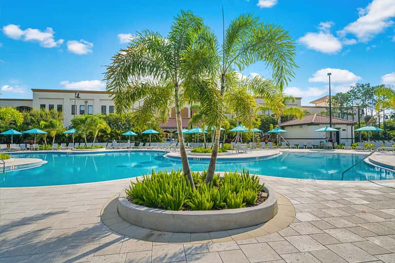 Resort pool surrounded by turquoise umbrellas, palm trees, and buildings
