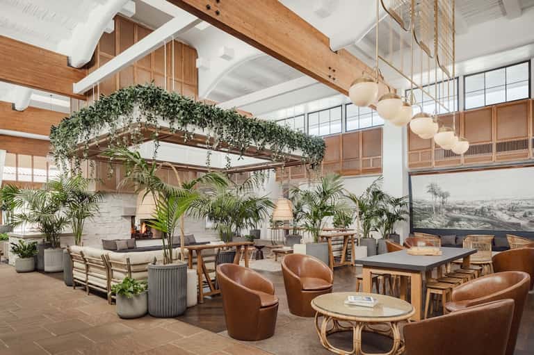 Modern hotel lobby with exposed wooden beams, hanging plants, leather seating, and natural lighting