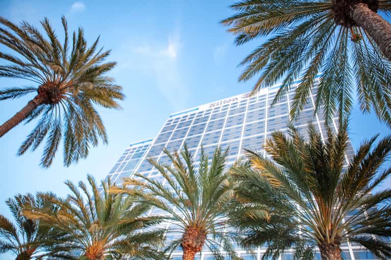 Modern high-rise hotel tower framed by palm trees against clear blue sky