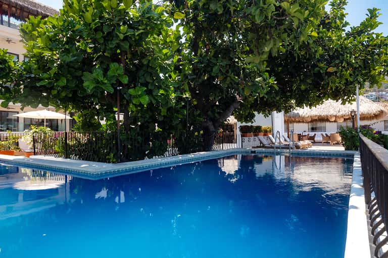 Resort swimming pool surrounded by lush green vegetation, palm trees, and lounge chairs with umbrellas