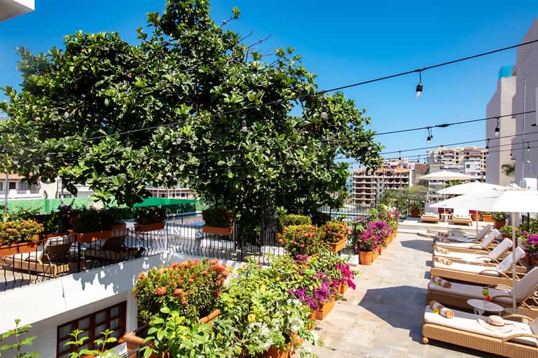Resort terrace with lounge chairs, large shade tree, pink flowers, white umbrellas, and colorful building backdrop