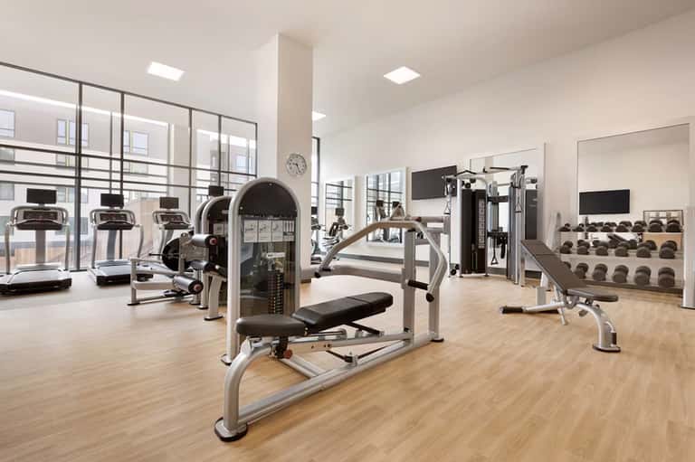 Contemporary fitness center with cardio machines, weights, and floor-to-ceiling windows