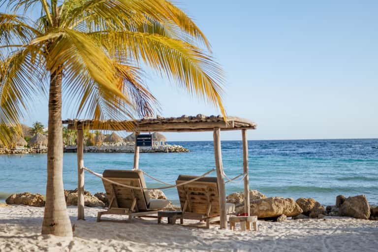 Beach lounge chairs under palm tree and wooden pergola facing ocean