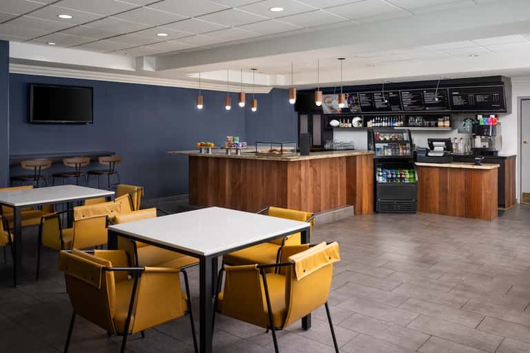 Modern café interior with navy walls, wooden counter, yellow chairs, and pendant lighting