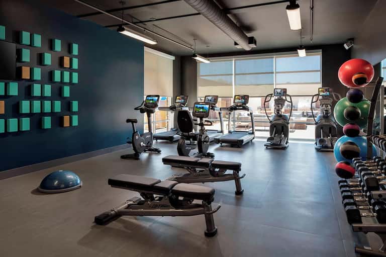 Modern fitness center with cardio equipment, weights, and colorful exercise balls