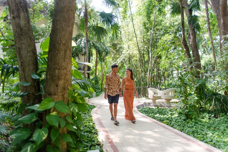 Couple walking on jungle pathway surrounded by tall trees and lush green tropical vegetation