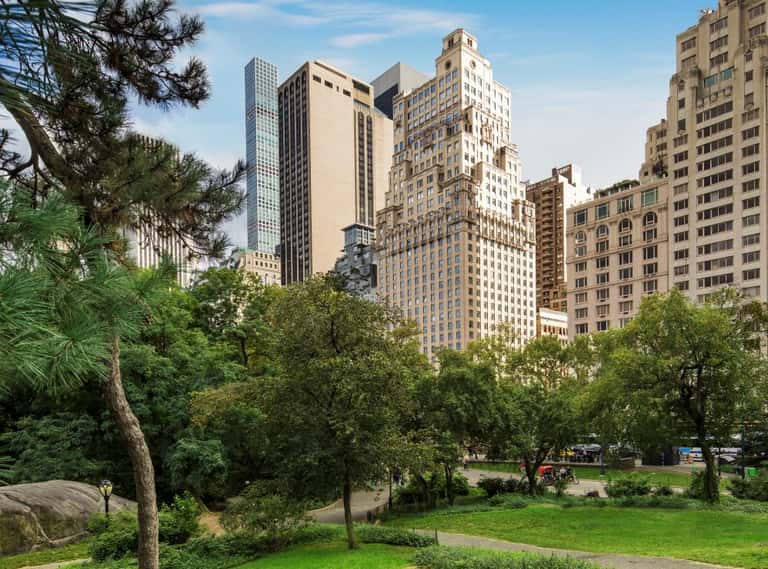 Urban park with green trees and grass surrounded by tall city buildings and skyscrapers