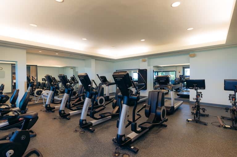Fitness center with rows of stationary bikes, treadmills, and modern exercise equipment