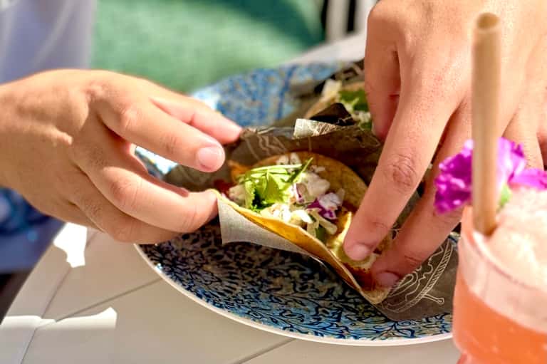 Close-up of hands holding a delicious wrap with colorful vegetables and purple flower garnish