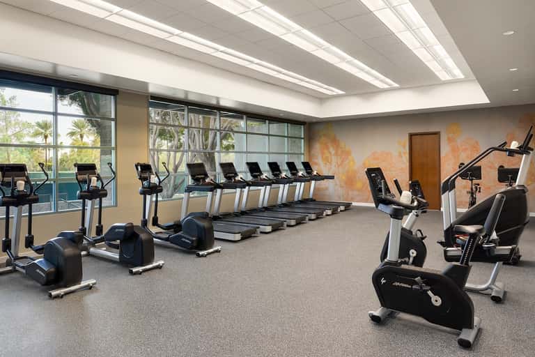 Modern fitness center with rows of treadmills, exercise bikes, and large windows overlooking palm trees
