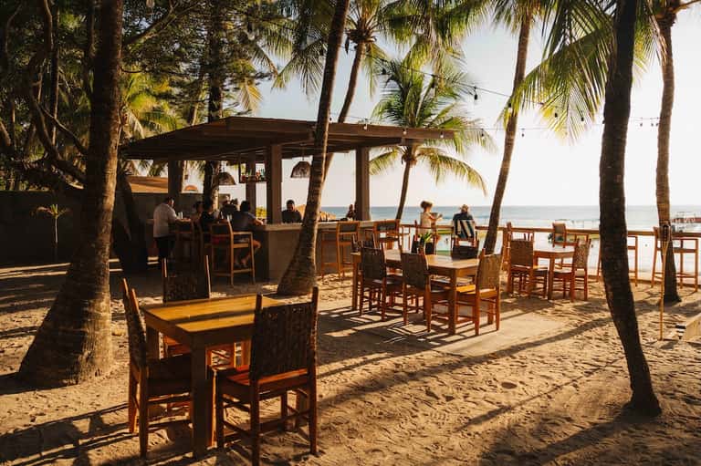 Beachfront bar and dining area with wooden tables, palm trees, and ocean views