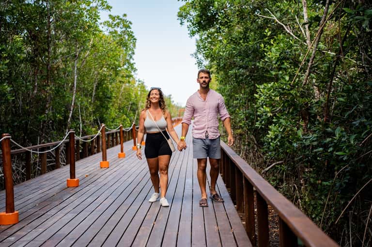 Couple jogging on wooden boardwalk through lush green mangrove forest with safety railings