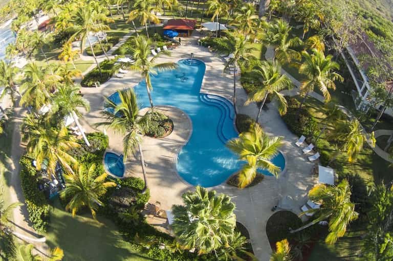 Overhead view of curved resort pool surrounded by palm trees and seating areas