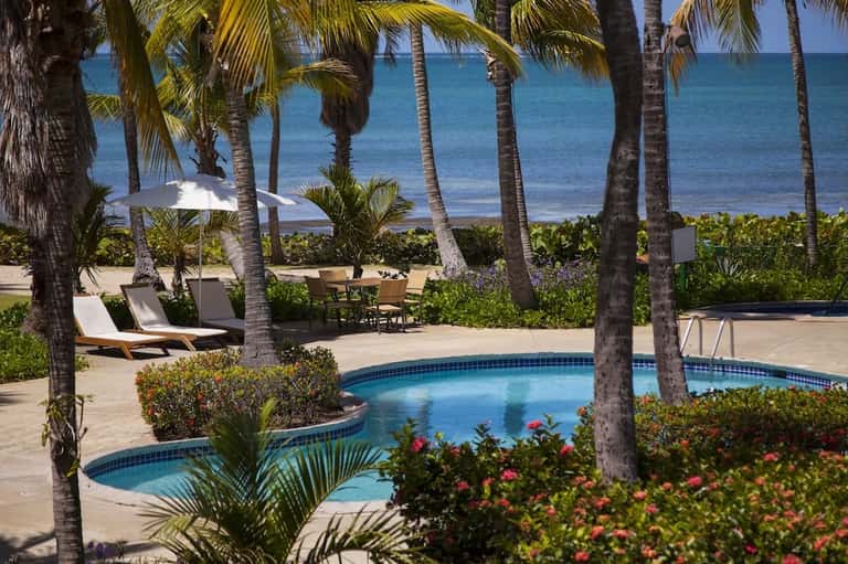 Beachfront pool area with palm trees, lounge chairs, ocean view, and tropical landscaping