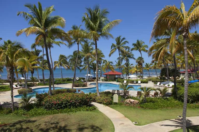 Tropical resort pool area with palm trees, ocean view, and waterfront buildings