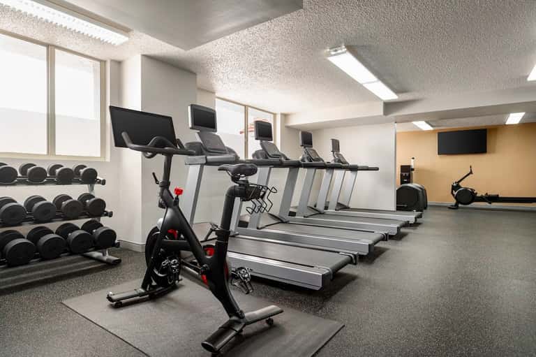 Modern gym interior with stationary bikes, treadmills, dumbbells, and fitness equipment