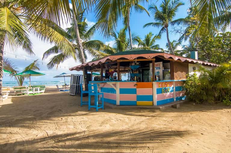 Casual beachfront bar with colorful striped exterior, palm trees, and ocean view in tropical setting