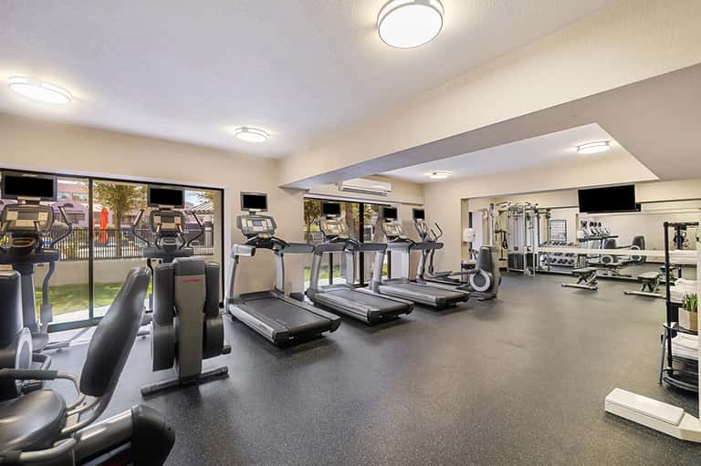 Bright fitness center with multiple treadmills, exercise equipment, and floor-to-ceiling windows