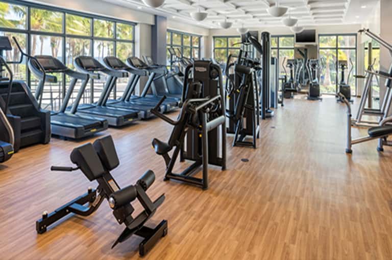 Bright fitness center with treadmills, ellipticals, exercise equipment, and large windows overlooking trees