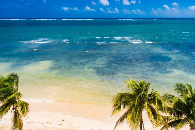 Tropical beach with white sand, turquoise water, and palm fronds