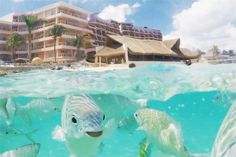 Underwater view of tropical fish in turquoise water near beachfront resort with thatched structures