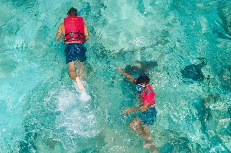Two people snorkeling in clear turquoise ocean water wearing red life jackets