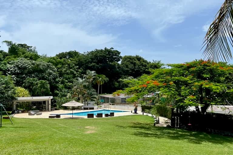 Tropical resort backyard with swimming pool, loungers, and lush green landscaping
