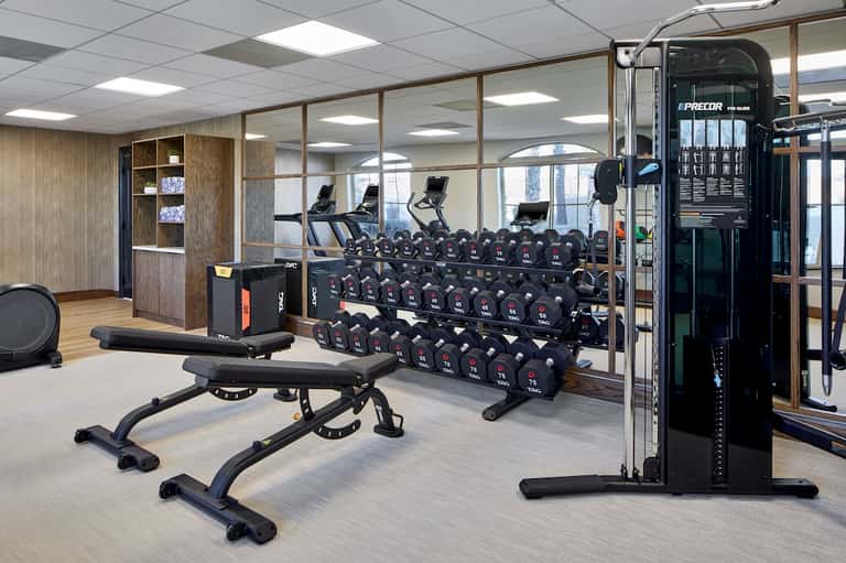 Modern fitness center with cardio equipment, dumbbells, and strength training machines