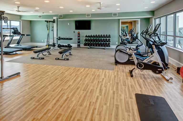 Modern fitness center with treadmills, stationary bikes, free weights, and green accent walls