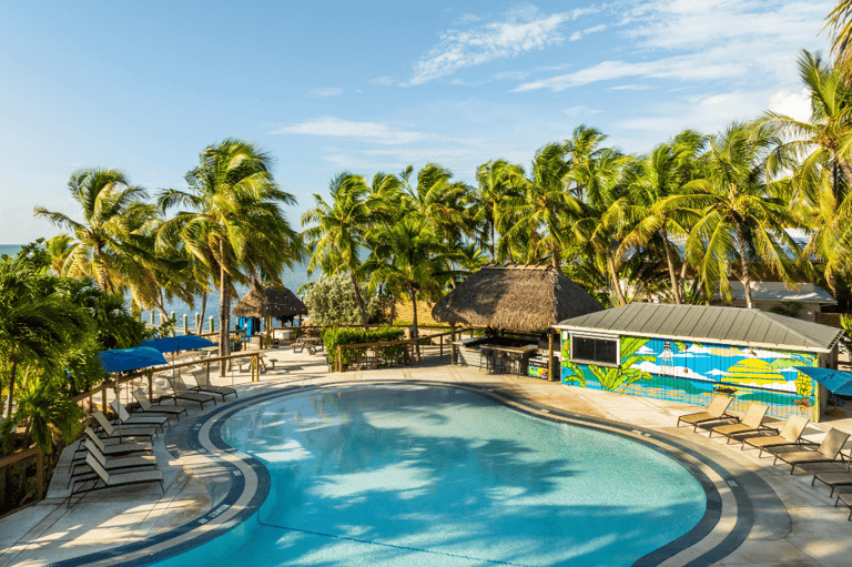 Tropical resort pool with tiki bar, palm trees, ocean view, and lounge seating