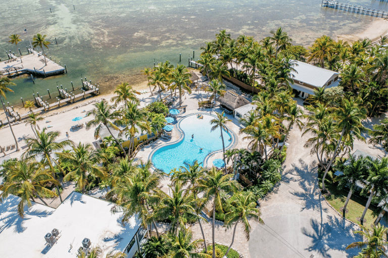 Tropical resort aerial view showing curved pool, beach access, palm trees, and water activities